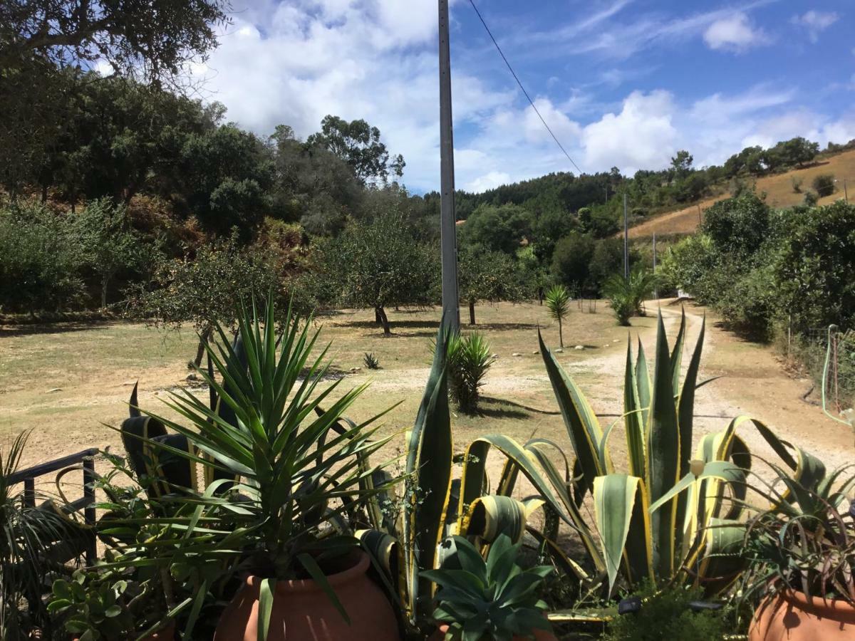 فيلا Quinta Boavista Cercal do Alentejo المظهر الخارجي الصورة
