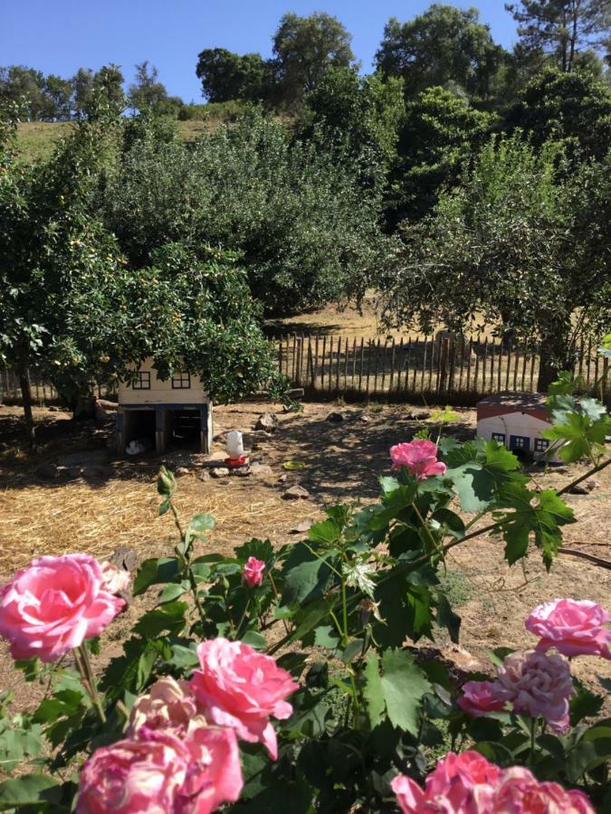فيلا Quinta Boavista Cercal do Alentejo المظهر الخارجي الصورة