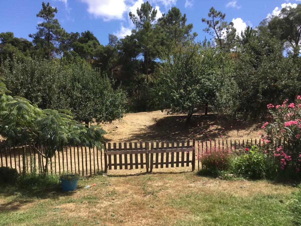 فيلا Quinta Boavista Cercal do Alentejo المظهر الخارجي الصورة